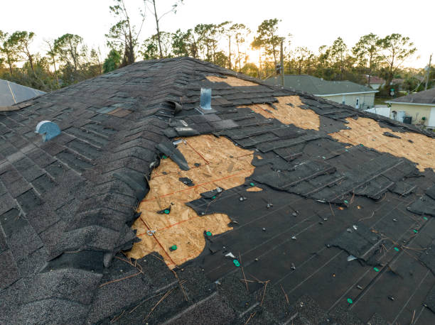 Best Asphalt Shingle Roofing  in San Fernando, CA